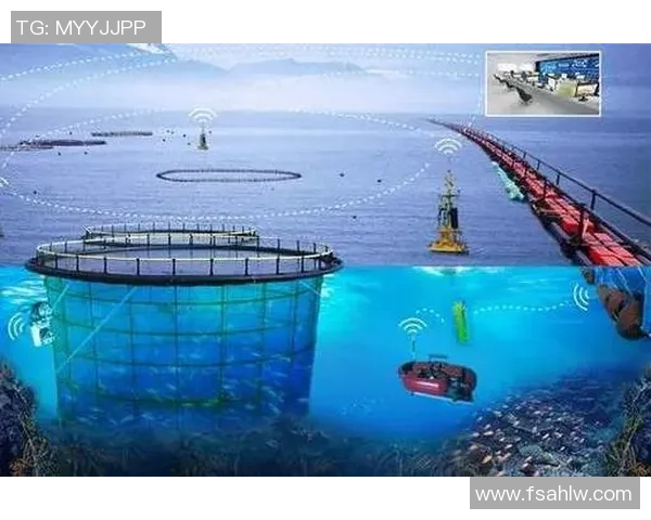 esports最新数据重磅专题WE的控制革新探索与实践：引领未来科技发展的新方向